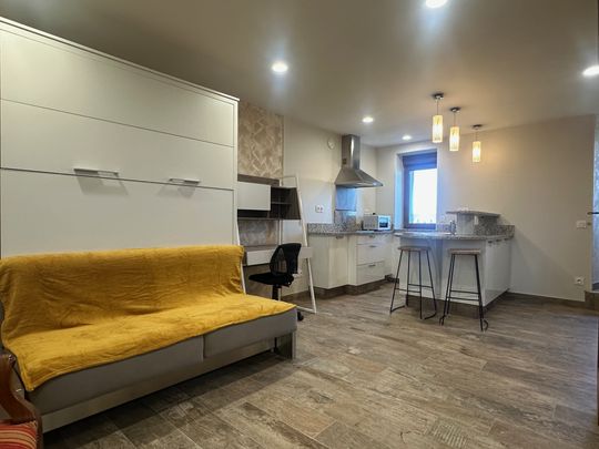 Studio meublé - DARDILLY - Photo 1