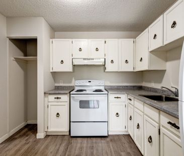 Renovated Suite - 1 Bedroom - Photo 4