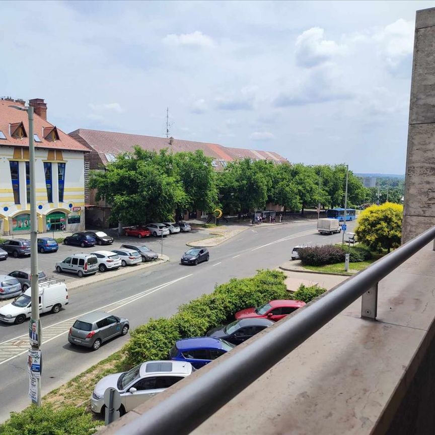 Kiadó lakás - Pécs - Fotó 1