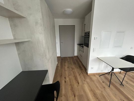 Zweitbezug - Möbiliertes 1 Zimmer Apartment - Foto 1