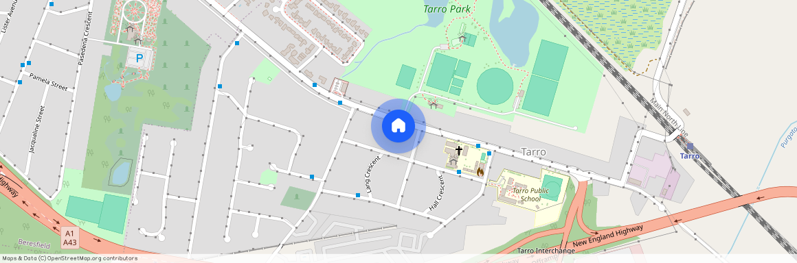 64 Anderson Drive, NSW 2322, Tarro