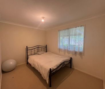 Elegant Eucalyptus - Photo 4