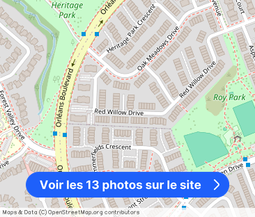 6116 Red Willow Drive - Photo 1