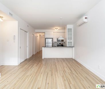 9649, rue La Jeunesse, Ville-Marie (Centre-Ville et Vieux-Montréal)... - Photo 3