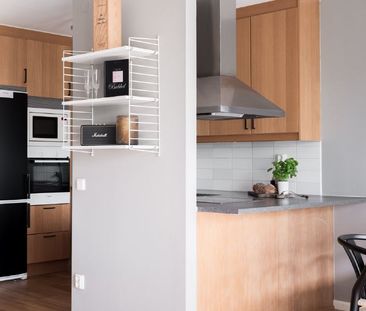 Ångaren Indias g - Photo 4