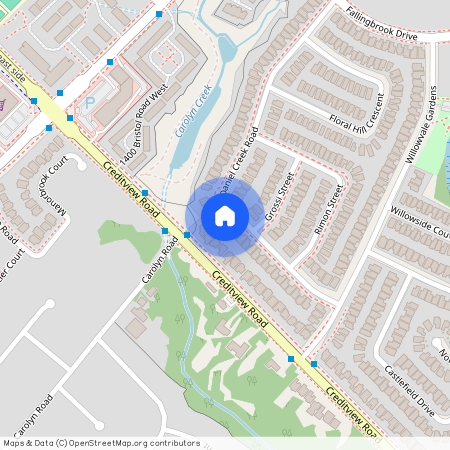 1445 Daniel Creek Road Unit# Bsmt, Mississauga