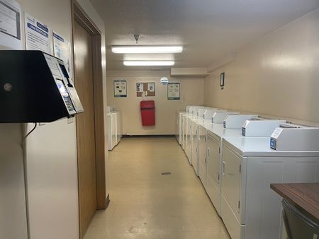 Updated and Bright Corner Unit Two Bedroom in Convenient Lougheed Area - Photo 5