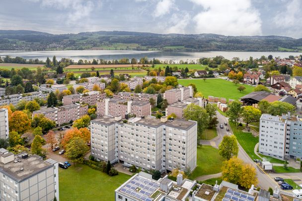 Die perfekte Wohnung am idyllischen Greifensee! - Foto 1