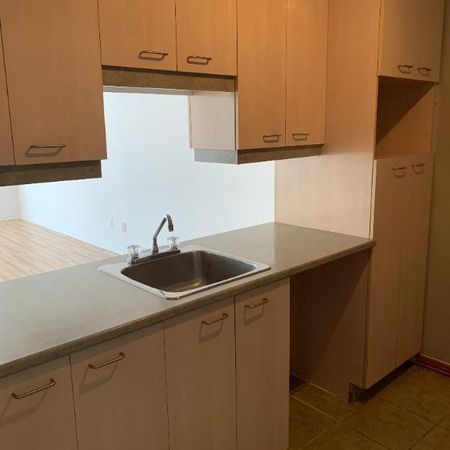 Grand 4 1/2 style condo à louer à Boisbriand - Photo 3