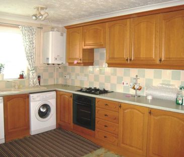 Tulip Fields - Photo 1