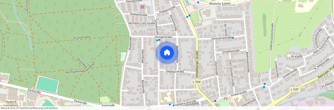 Schloßstr. 38A, 69168 Wiesloch