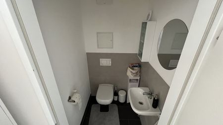 Moderne 2 Zi -Wohnung mit großzügiger Loggia - nahe Milleniumcity (provisionsfrei!) - Photo 5