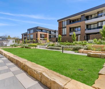 72/39 McIntyre Street, Narrabundah ACT 2604 - Apartment For Rent | ... - Photo 4