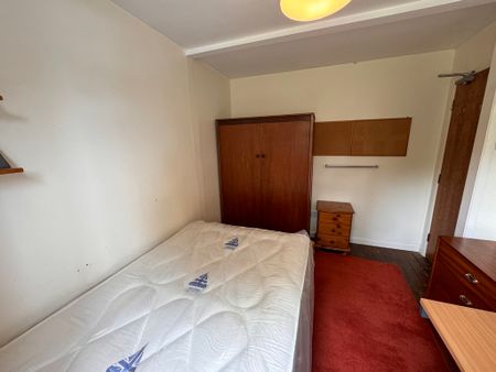 Cromer Street, Burton Stone Lane - P1920 - Photo 4