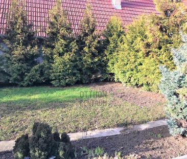 Kiadó jó állapotú ház - Budakeszi - Fotó 6