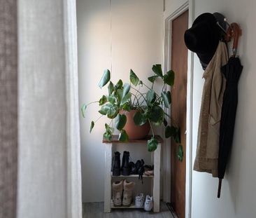 Logement 1 chambre et 1 salle de bain- animaux acceptés - Photo 3