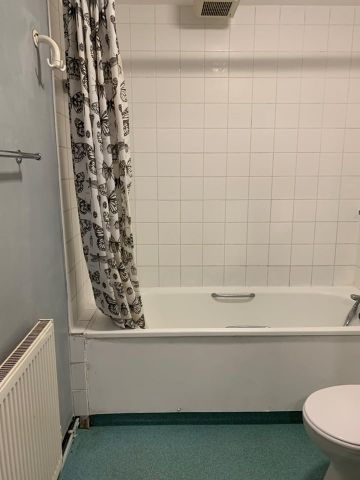 Room in a Shared Flat, Ham Park Road, E7 - Photo 5