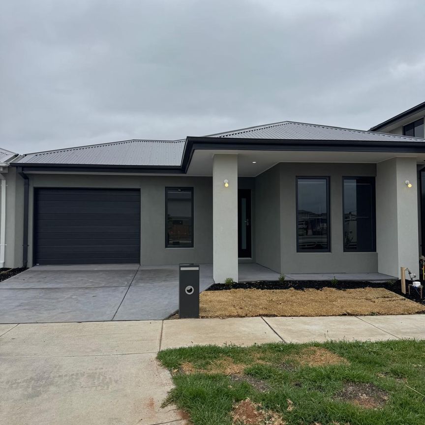 355A Centre Road, Berwick VIC 3806 - House For Rent | Domain - Photo 1