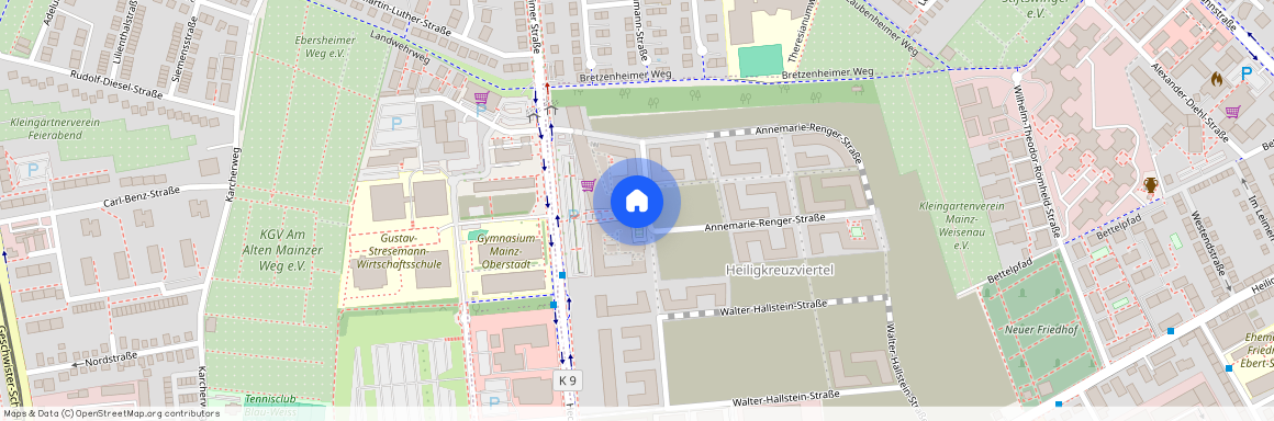 Annemarie-Renger-Straße 3g, 55130, Mainz