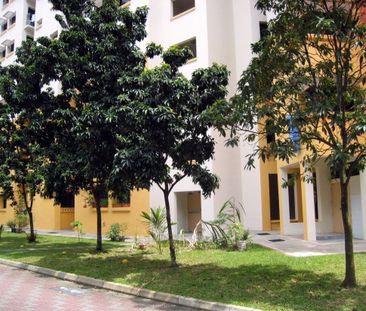 Blk 306C Anchorvale Link (Sengkang), HDB 4 Rooms - For Rent - Photo 3