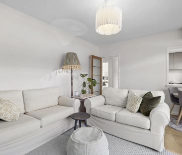 Light, Bright & Renovated - Photo 4