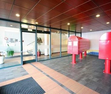 Palaceplein 149, Belgisch Park, 2587WJ, Den Haag - Photo 1