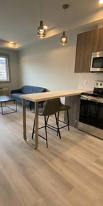 Furnished 1 bed/1 bath at Uni-K Town (#325) - Photo 3