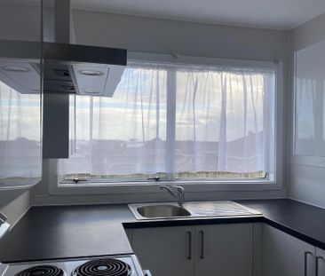 Unit 7, 253 Spey Street, Invercargill Central - Photo 4