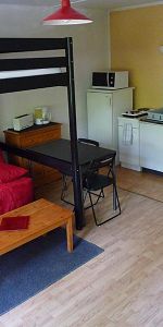 Location Appartement 1 pièce 28m² LILLE 59000 - Photo 4