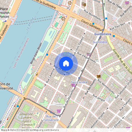 36 RUE PASTEUR, LYON 7EME ARRONDISSEMENT Pasteur