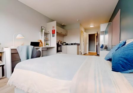 Bronze Studio Premium - Photo 2