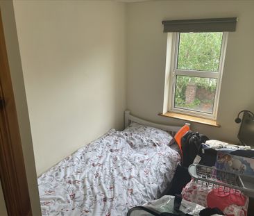 8 Ardenlee Rise - Photo 2