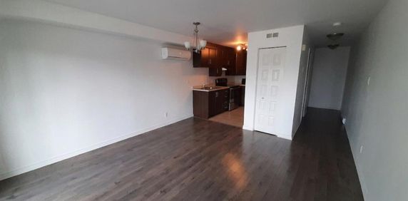 Beau 3 ½ à louer – 153, rue de Dublin, unité 5 (Plateau Aylmer) Beautiful 3 ½ for rent – 153 Dublin Street, Unit 5 (Aylmer Plateau) - Photo 2