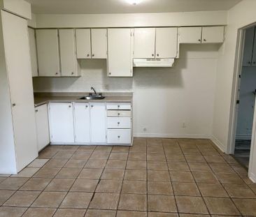 Beau 3 1/2 - Photo 2