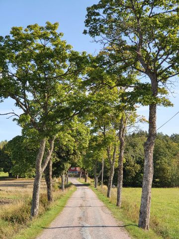 Svärta, Nyköping - Foto 4