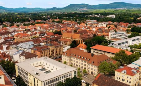 Wohnung zur Miete in Landau in der Pfalz - Foto 2