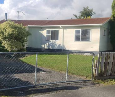 Renovated Family Home - Photo 4