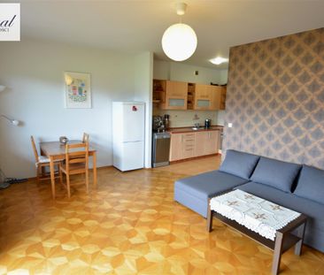 Cztery Pory Roku, Bielsko-Biała - Zdjęcie 4