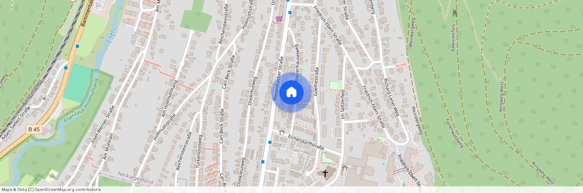 Batzenhäuselweg 24, 69151 Neckargemünd