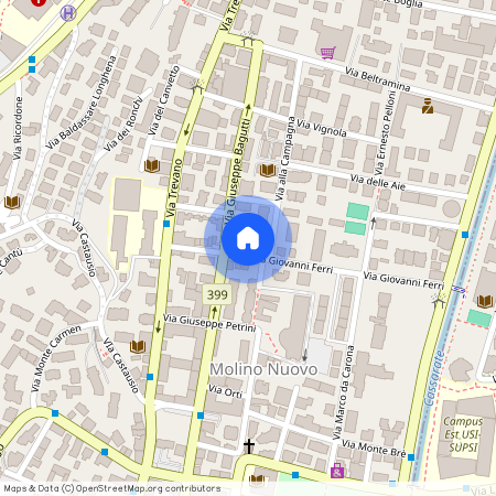 via Giovanni Ferri 15, 6900 Lugano