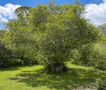 2-Bedroom Home in Peaceful Scenic Setting - Photo 5