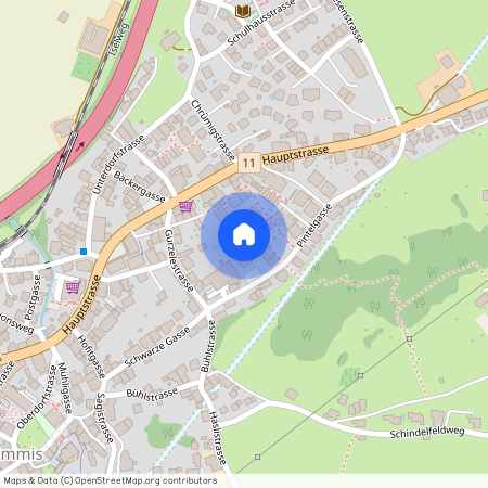 Pintelgasse 3, 3752, Wimmis