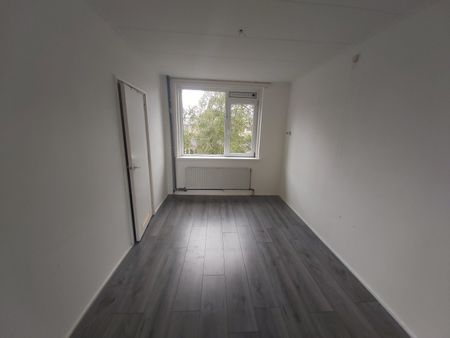 Te huur: Appartement Quintusweg in Haren Gn - Photo 4