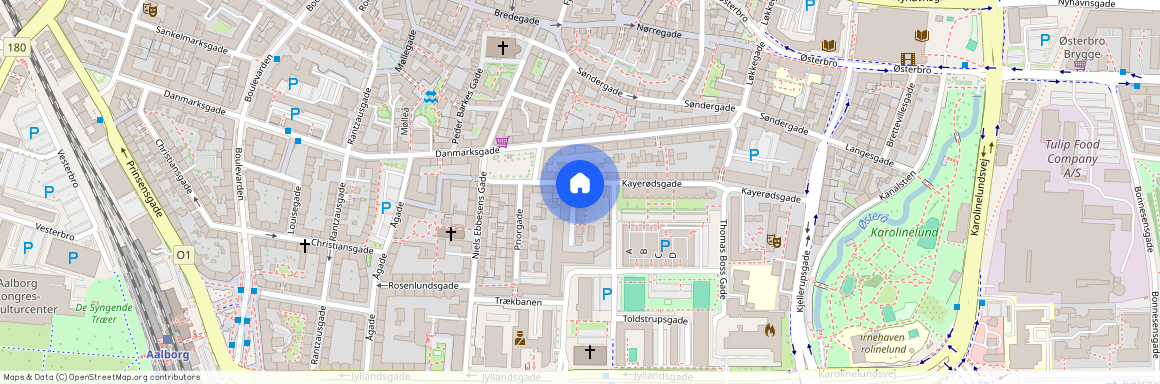 Sankt Mortens Gade 1, 1. th. 9000 Aalborg