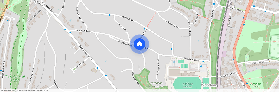 Tongdean Lane, Brighton, BN1