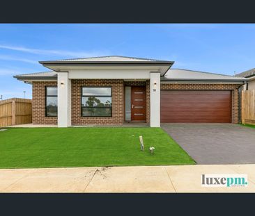 22 Curtain Drive, Leopold, Vic 3224 - Photo 6