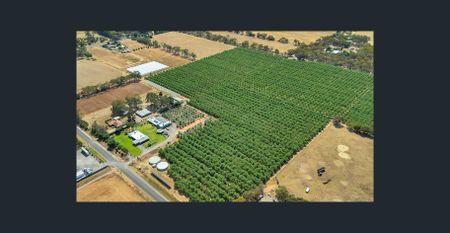 FANTASTIC OPPORTUNITY TO SECURE 13 ACRES - Photo 3