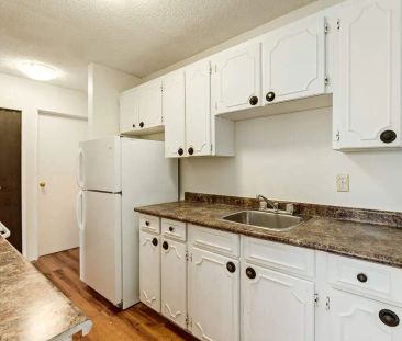 - 1 Bedroom at Sutherland Manor - Photo 5