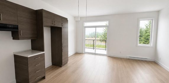 3 1/2 fraîchement rénové - Sainte-Agathe-Des-Monts - Photo 2