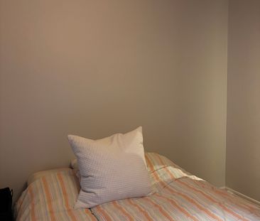 Vårgatan, Malmö - Foto 3